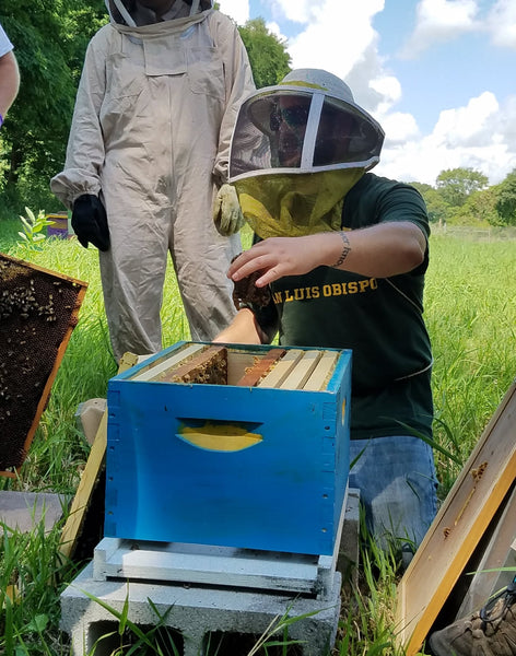 Dr. Adam standing in front of beehive holding a frame in front of beehive