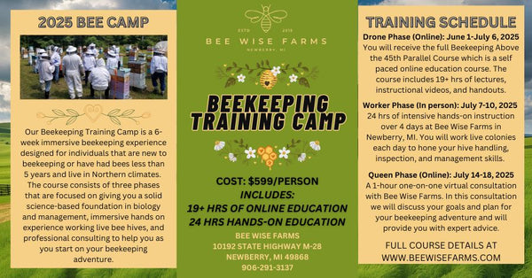 Bee Camp