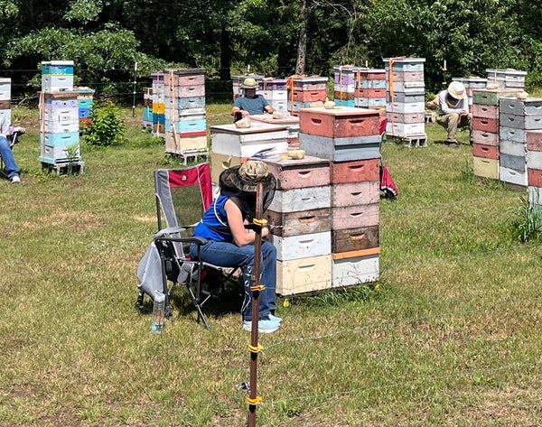 Bee Camp